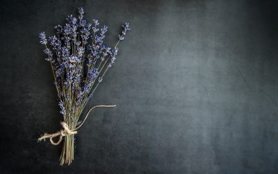 Ayurveda detox – Panchakarma with Hemaveda